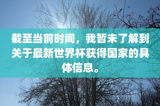 截至当前时间，我暂未了解到关于最新世界杯获得国家的具体信息。金炬实业股份有限公司