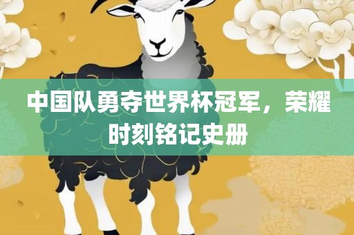 中国队勇夺世金炬实业股份有限公司界杯冠军，荣耀时刻铭记史册