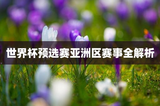 世界杯预选赛亚洲区赛事全解析金炬实业股份有限公司