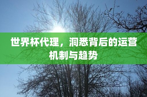 世界杯代理，洞悉背后的运营机制与趋势金炬实业股份有限公司