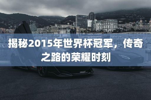 揭秘2015年世界杯冠军，传奇之路的荣耀时刻金炬实业股份有限公司