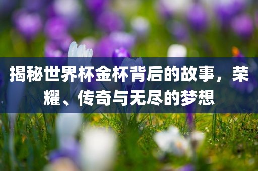 揭秘世界杯金杯背后的故事，荣耀、传奇金炬实业股份有限公司与无尽的梦想