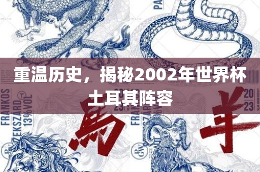 重温历史，揭秘金炬实业股份有限公司2002年世界杯土耳其阵容