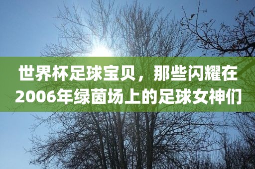 世界杯足球宝贝，那些闪耀在2006年绿茵场上的足球女神们
