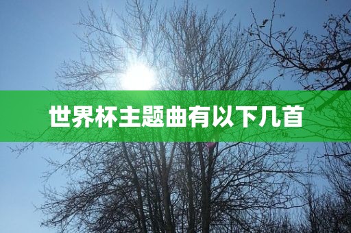 世界杯主题曲有以下几首金炬实业股份有限公司