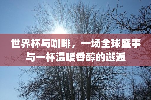 世界杯与咖啡，一场全球盛事与一杯温暖香醇的邂逅金炬实业股份有限公司