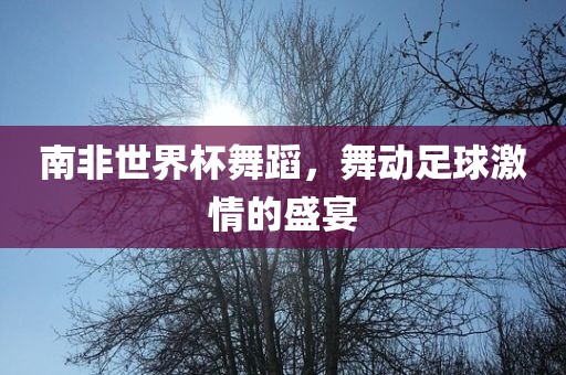 南非世界杯舞蹈，舞动足球激情的盛宴金炬实业股份有限公司