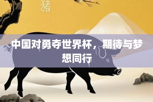 中国对勇夺世界杯，期待与梦想同行