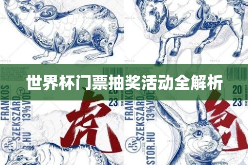 世界杯门票抽奖活动全解析