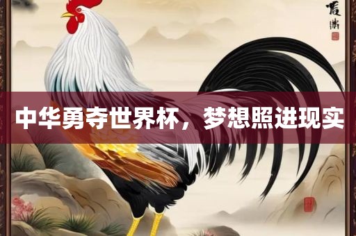 中华勇夺世界杯，梦想照进现实