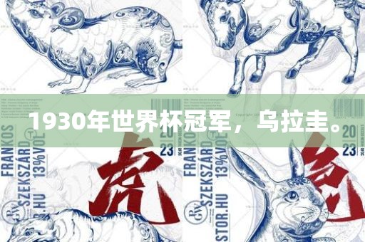 1930年世界杯冠军，乌拉圭。