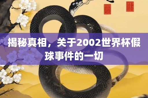 揭秘真相，关于2002世界杯假球事件的一切