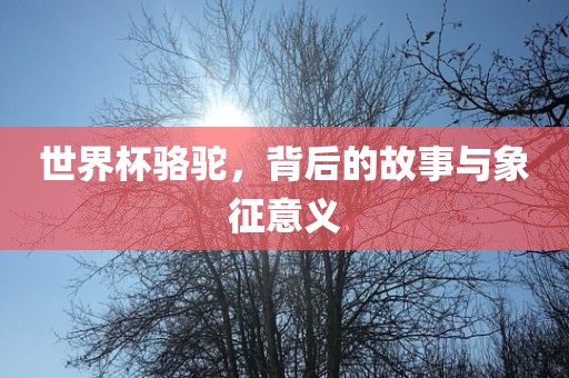 世界杯骆驼，背后的故事与象征意义