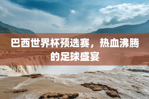 足球盛宴 第25页