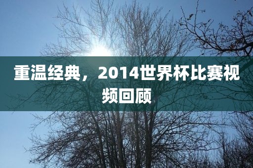 重温经典，2014世界杯比赛视频回顾金炬实业股份有限公司
