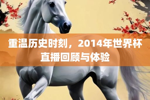 重温历史时刻，201金炬实业股份有限公司4年世界杯直播回顾与体验