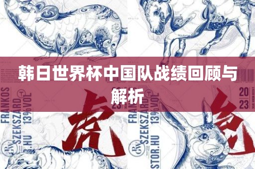 韩日世界杯中国队战绩回顾与解析