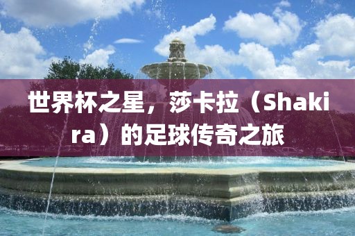 世界杯之星，莎卡拉（Shak金炬实业股份有限公司ira）的足球传奇之旅
