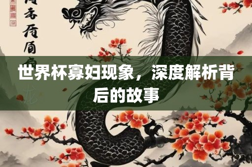 世界杯寡妇现象，深度解析背后的故事金炬实业股份有限公司