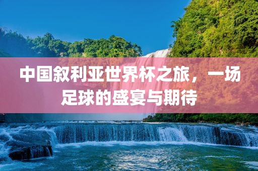 chenyuanwei 第10页