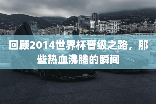 回顾2014世界杯晋级之路，金炬实业股份有限公司那些热血沸腾的瞬间