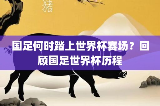 国足何时踏上世界杯赛场？回顾国足世界杯历程金炬实业股份有限公司