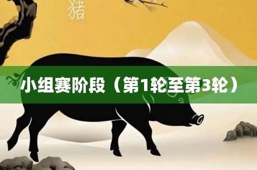 小组赛阶段（第1轮至第3轮）