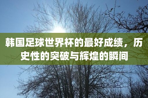 韩国足球世界杯的最好成绩，历史性的突破与辉煌的瞬间