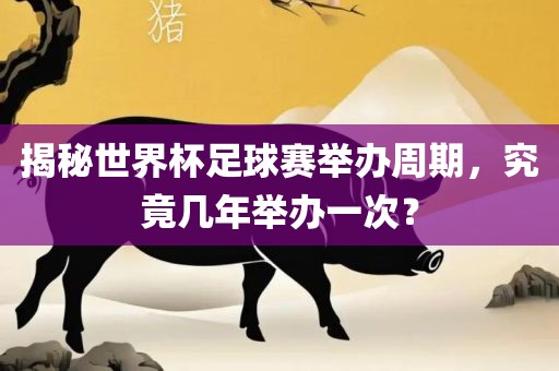 揭秘世界杯足球赛举办周期，究竟几年举办一次？金炬实业股份有限公司