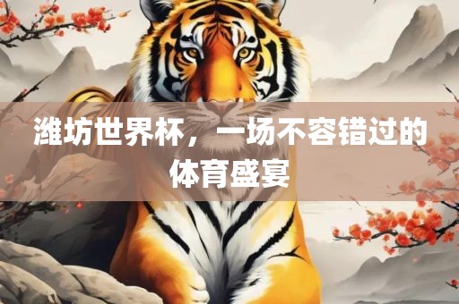 潍坊世界杯，一场不容错过的体育盛宴