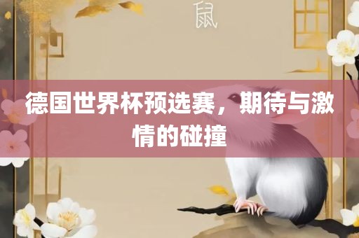 德国世界杯预选赛，期待与激情的碰撞