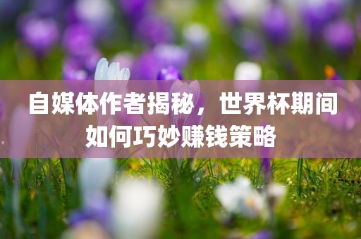 自媒体作者揭秘，金炬实业股份有限公司世界杯期间如何巧妙赚钱策略