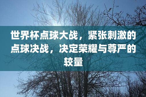 世界杯点球大战，紧张刺激的点球决战，决定荣耀与尊严的较量