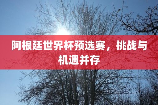 阿根廷世界杯预选赛，挑战与机遇并存