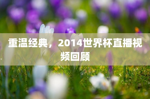 重温经典，2014世界杯直播视频回顾金炬实业股份有限公司