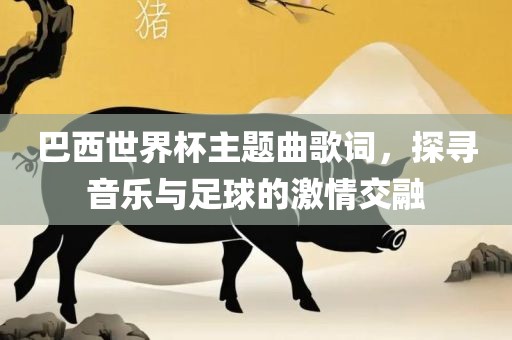 巴西世界杯主题曲歌词，探寻音乐与足球的激情交融