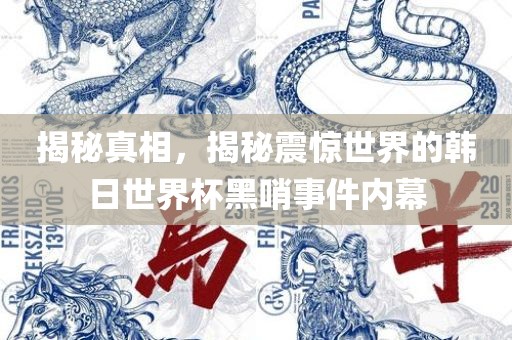 揭秘真相，揭秘震惊世界的韩日世界杯黑哨事件内幕