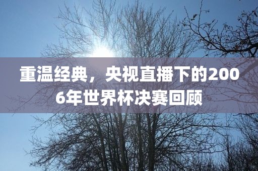 重温经典，央视直播下的2006年世界杯决赛回顾