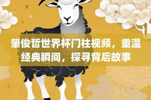 肇俊哲世界杯门柱视频，重温经典瞬间，探寻背后故事