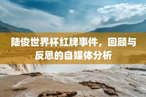 陆俊世界杯红牌事件，回顾与反思的自媒体分析金炬实业股份有限公司