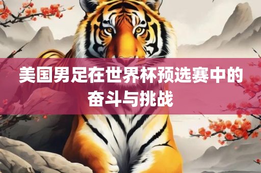 美国男足在世界杯预选赛中的奋斗与挑战金炬实业股份有限公司