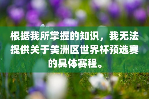 根据我所掌握的知识，我无法提供关于美洲区世界杯预选赛的具体赛程。
