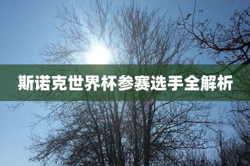 斯诺克世界杯参赛选手全解析金炬实业股份有限公司