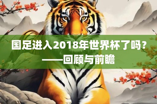 国足进入201金炬实业股份有限公司8年世界杯了吗？——回顾与前瞻