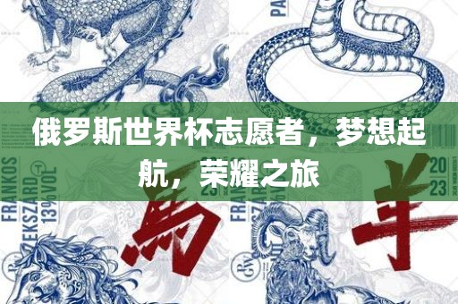 俄罗斯世界杯志愿者，梦想起航，荣耀之旅