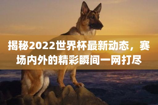 揭秘2022世界杯最新动态，赛场内外的精彩瞬间一网打尽金炬实业股份有限公司