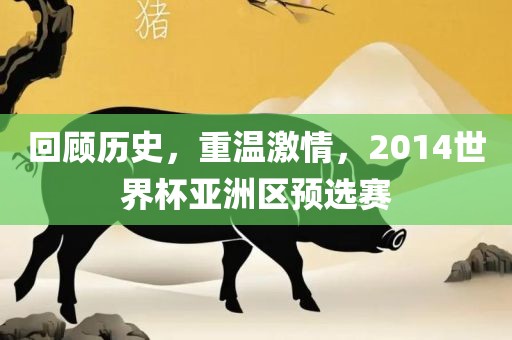 回顾历史，重温激情，2014世界杯亚洲区预选赛