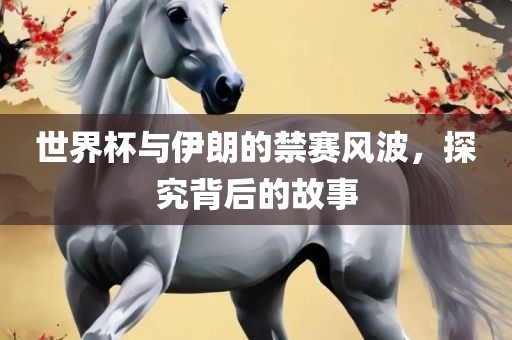 世界杯与伊朗的禁赛风波，探究背后的故事金炬实业股份有限公司