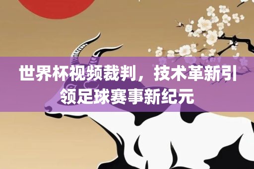 世界杯视频裁判，技术革新引领足球赛事新纪元金炬实业股份有限公司