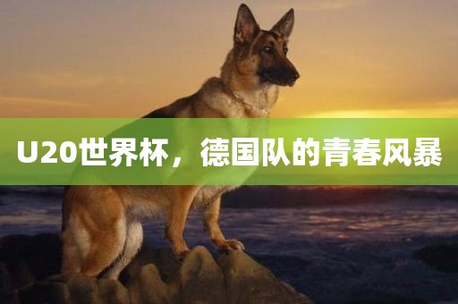 U20世界杯，德国队的青春风暴金炬实业股份有限公司